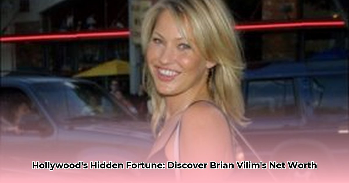 brian-vilim-net-worth